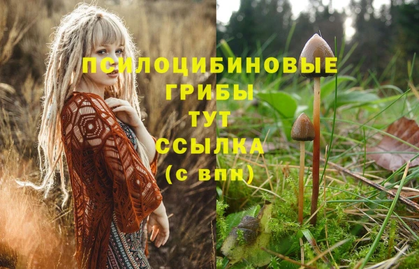 крисы Алексеевка