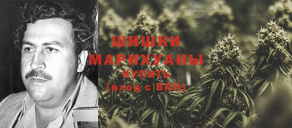трава Аркадак