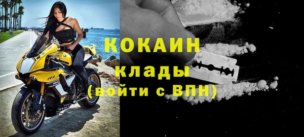 трава Аркадак
