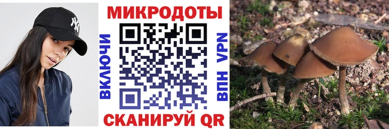 цены наркотик Каменск-Уральский Псилоцибиновые грибы прущие грибы